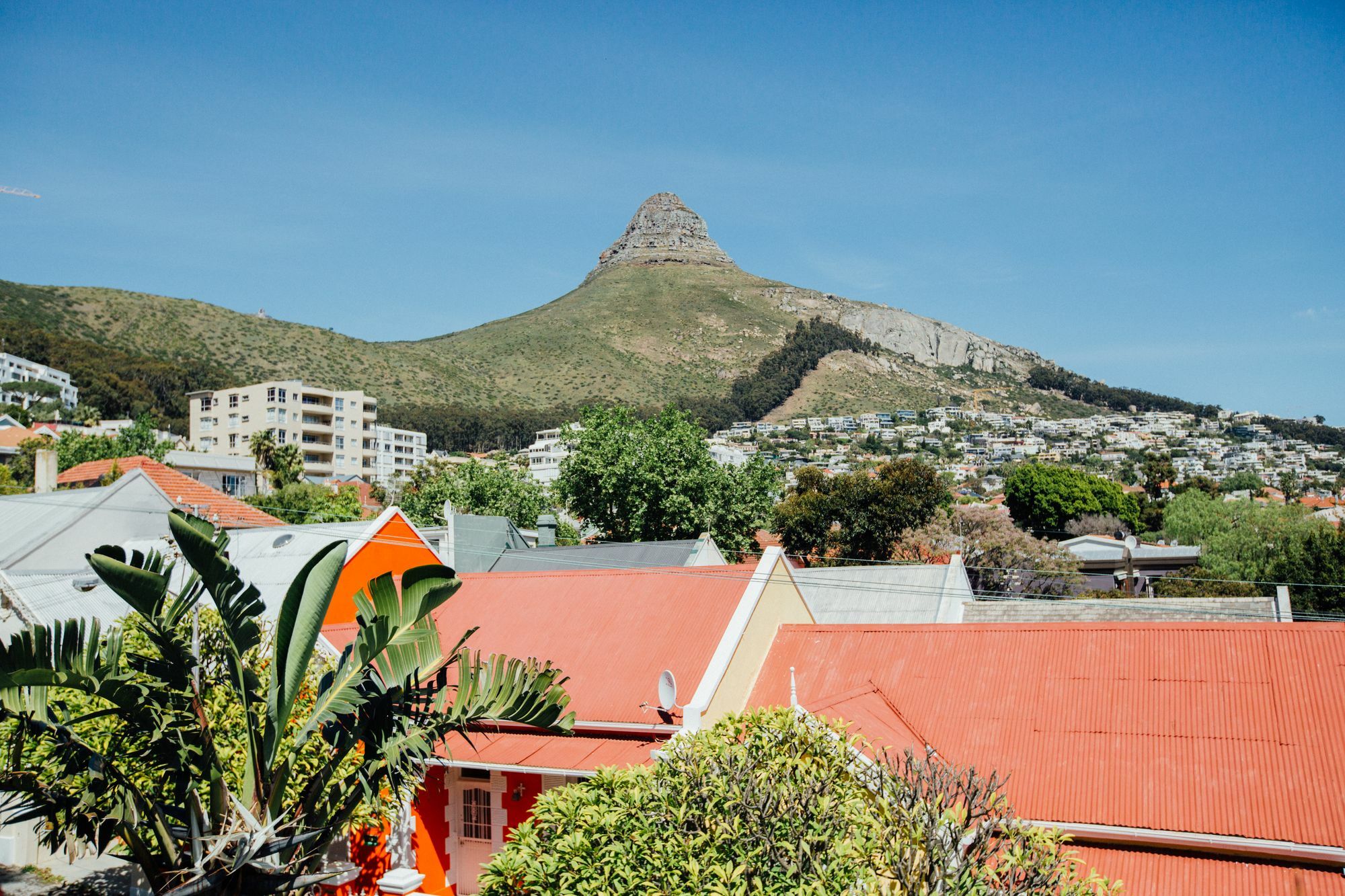 Sweet Ocean View Guesthouse Cape Town Dış mekan fotoğraf